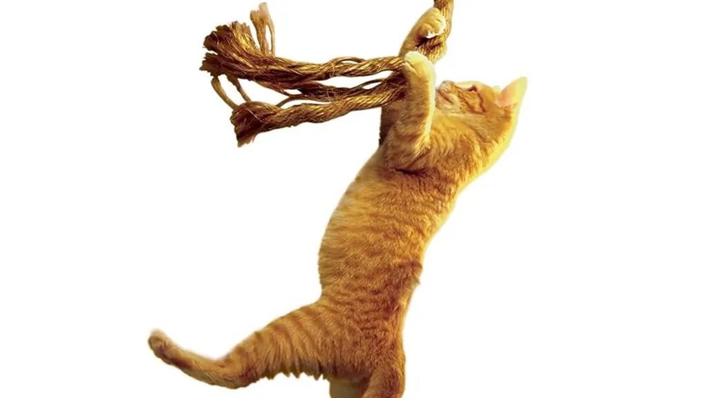 Panduan Save The Cat